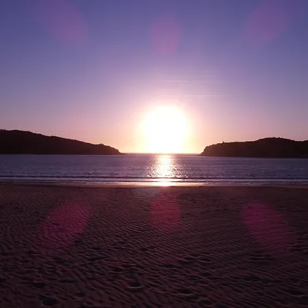 Palm Tree Appartement São Martinho do Porto