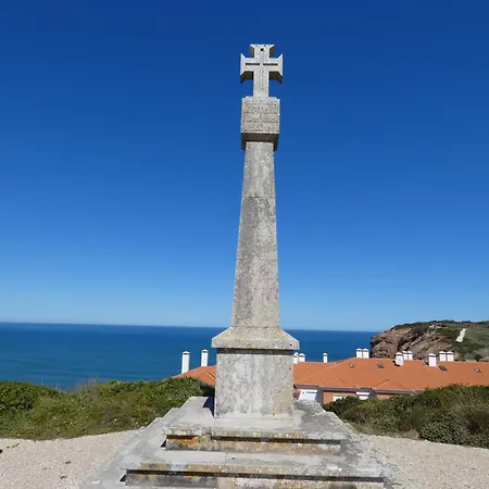 Palm Tree São Martinho do Porto