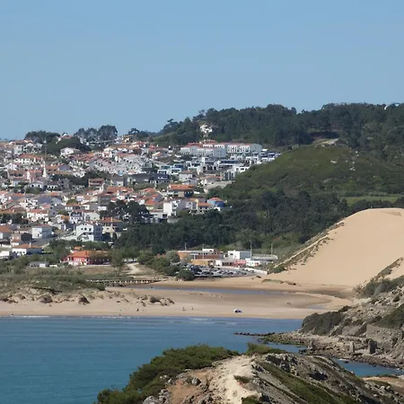 Apartment Palm Tree São Martinho do Porto